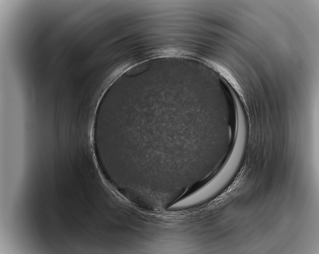 X0000095880946200801181202