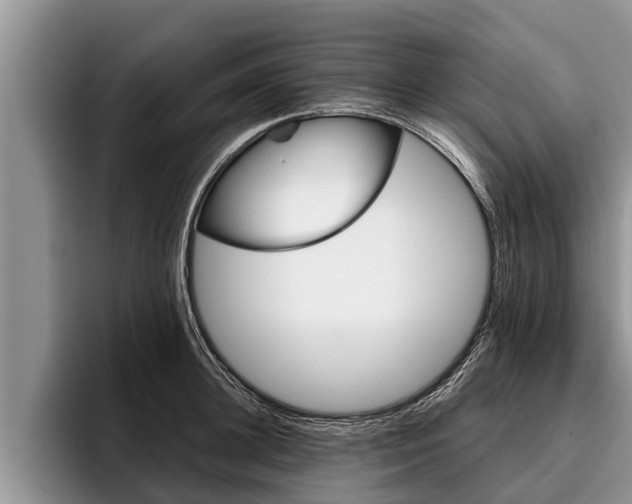 X0000095880948200801181202