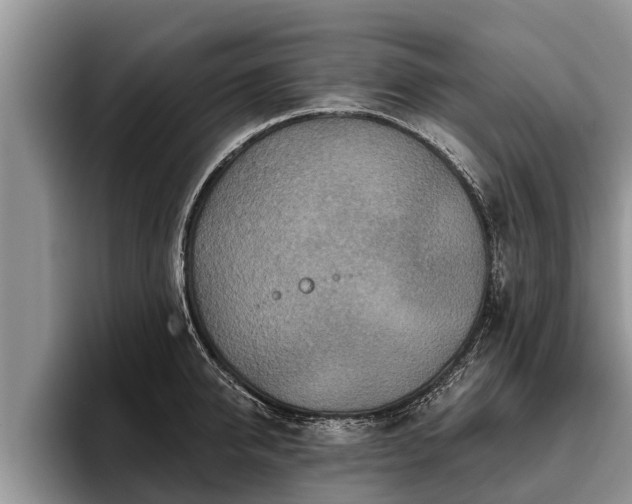 X0000095880950200801181203