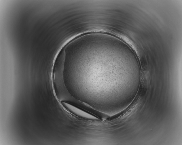 X0000095880951200801181203