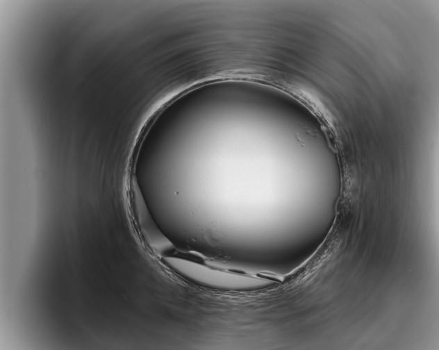 X0000095880952200801181203