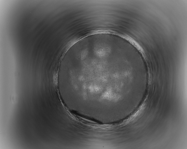 X0000095880953200801181203