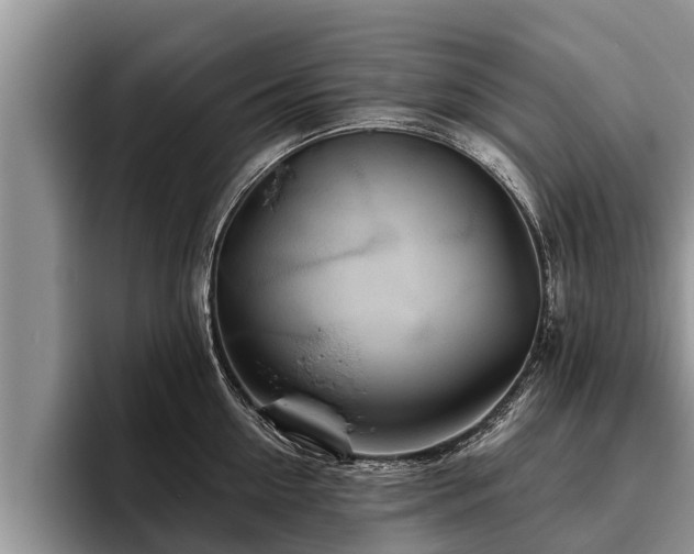 X0000095880954200801181203