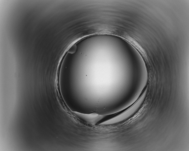 X0000095880956200801181203