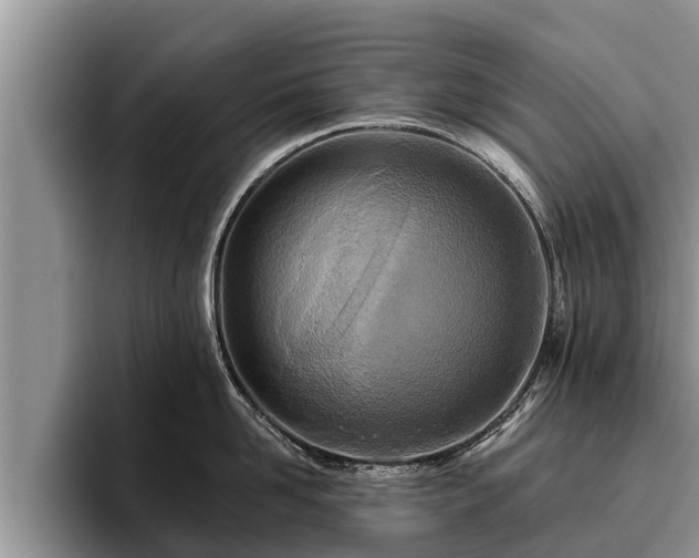 X0000095880958200801181203