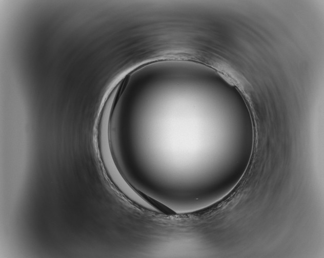 X0000095880960200801181203