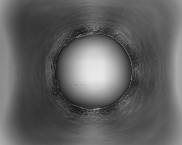 X0000095880961200801181202