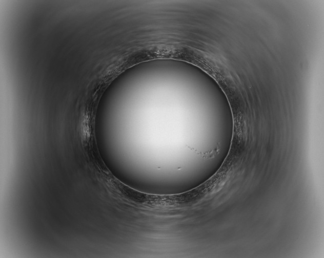 X0000095880962200801181202