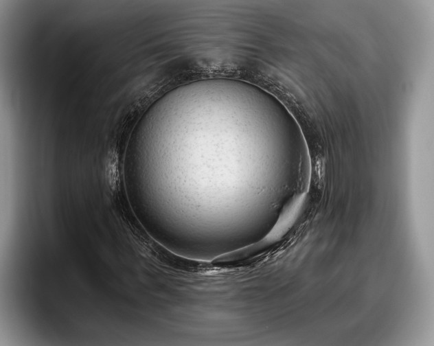 X0000095880963200801181202