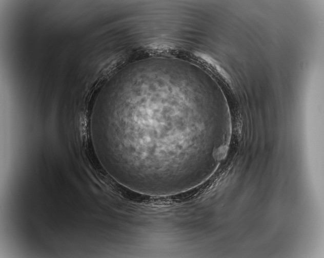 X0000095880964200801181202