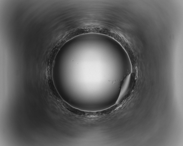 X0000095880965200801181202