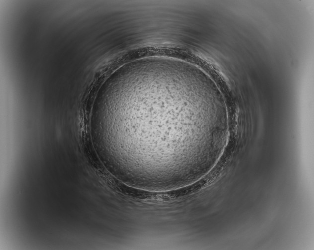 X0000095880966200801181202