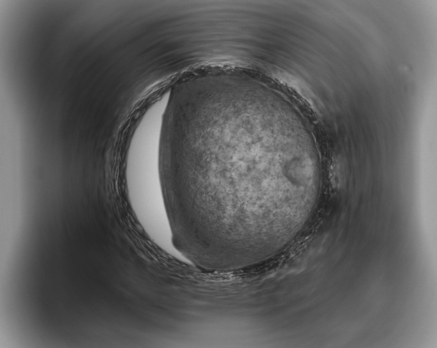 X0000095880968200801181202