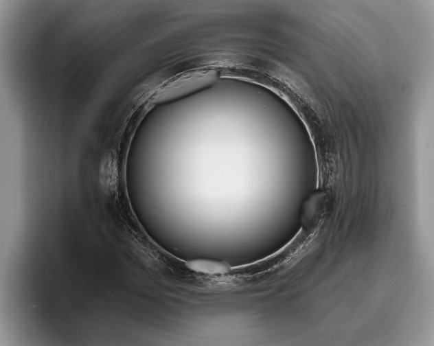 X0000095880969200801181202