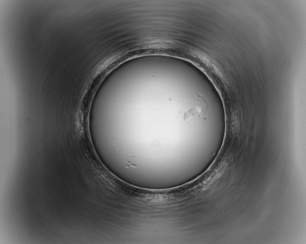 X0000095880970200801181202