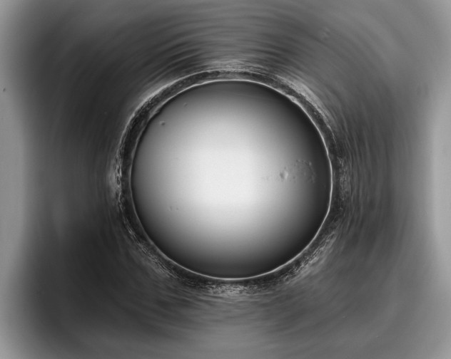 X0000095880971200801181202