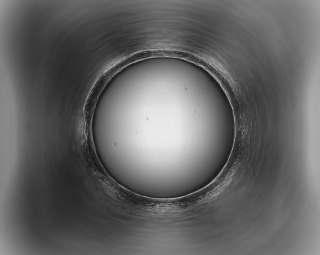 X0000095880974200801181202