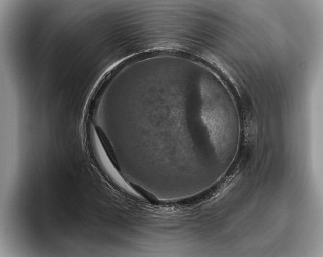 X0000095880975200801181202