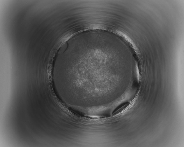X0000095880977200801181202