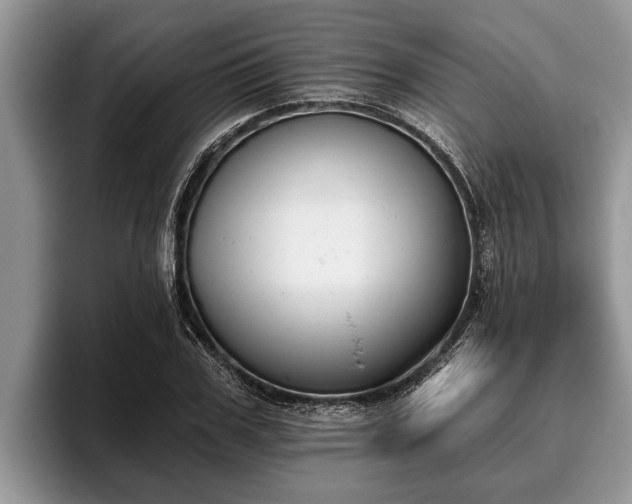 X0000095880979200801181202