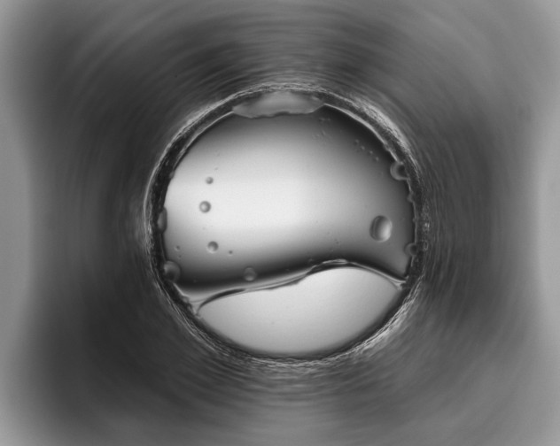 X0000095880981200801181202