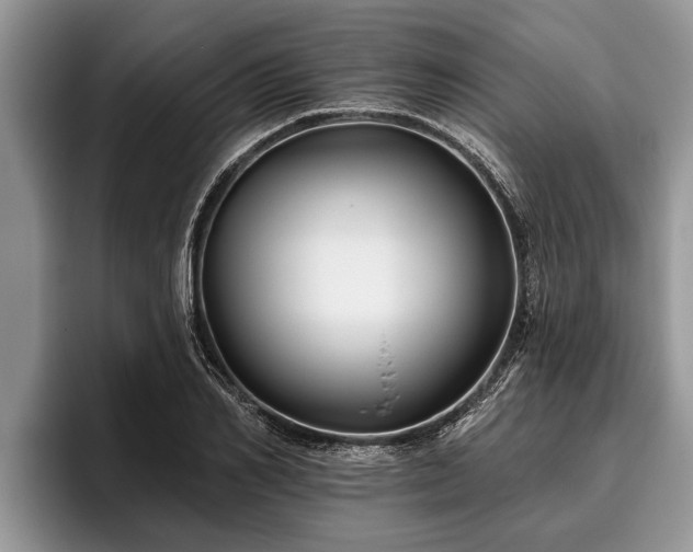 X0000095880982200801181202