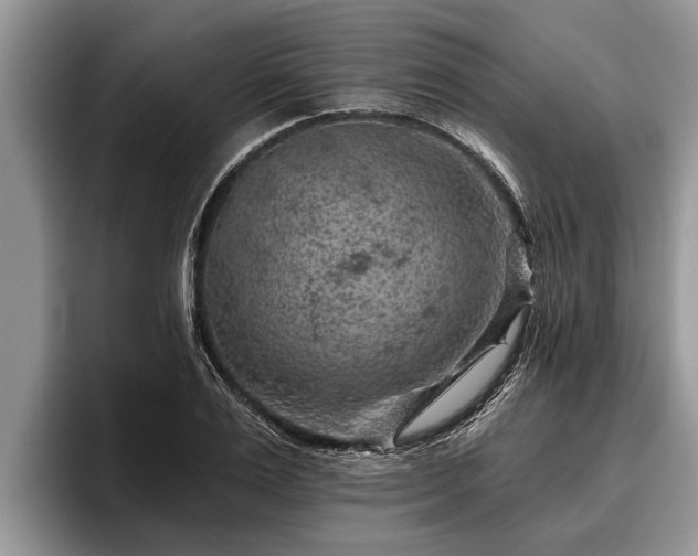 X0000095880983200801181202