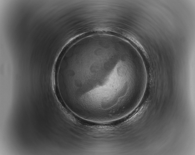 X0000095880984200801181202