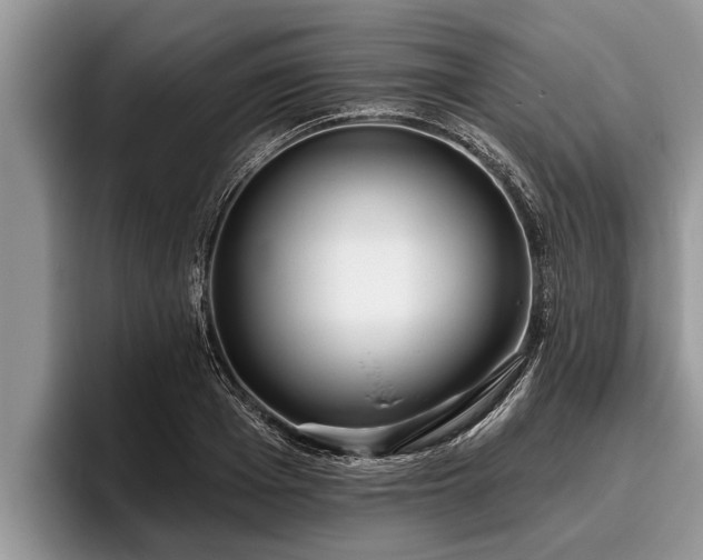 X0000095880985200801181202