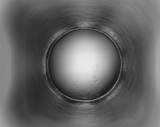 X0000095880986200801181202