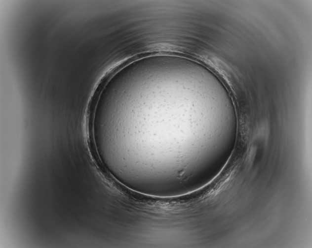 X0000095880987200801181202