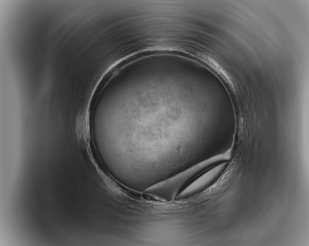 X0000095880988200801181202