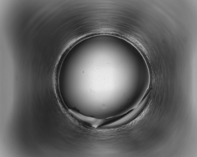 X0000095880989200801181202