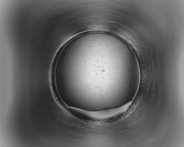 X0000095880991200801181202