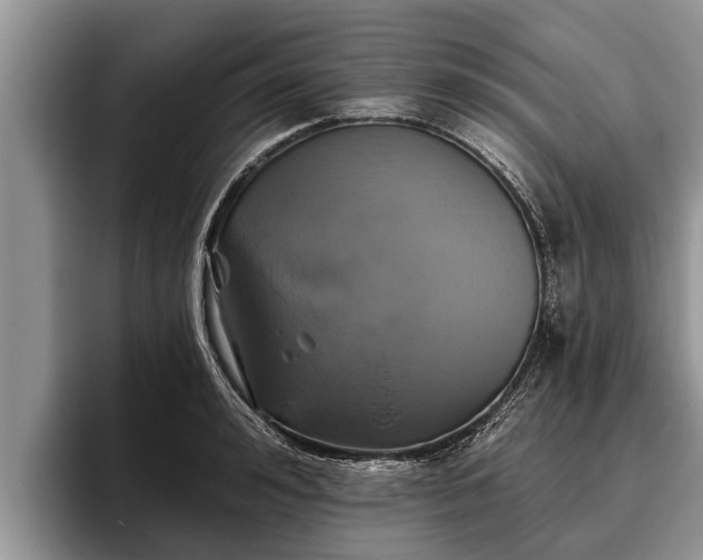 X0000095880992200801181202