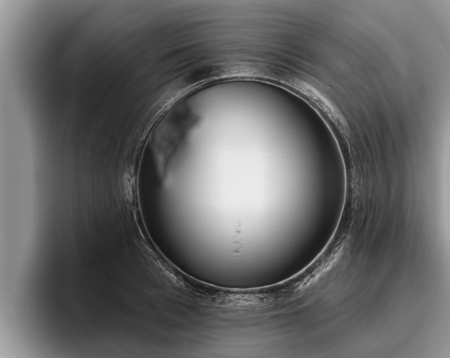 X0000095880993200801181202