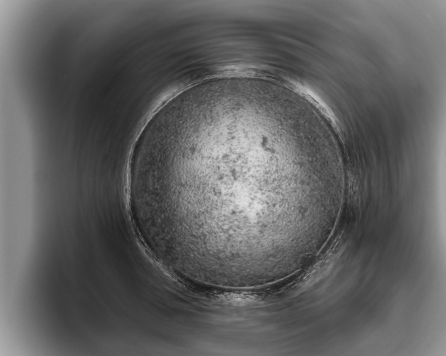 X0000095880994200801181202