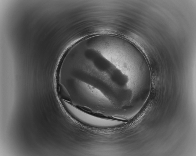X0000095880995200801181202
