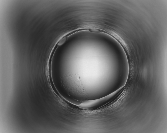 X0000095880996200801181202