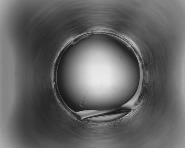 X0000095880997200801181202