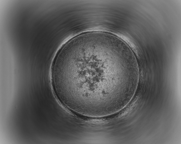 X0000095880998200801181201