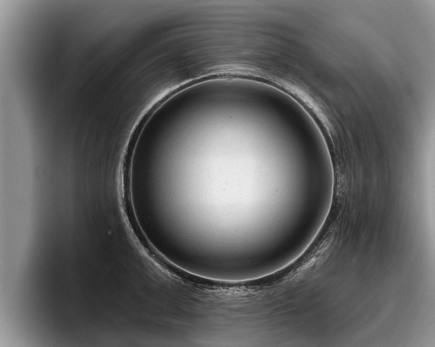 X0000095880999200801181201