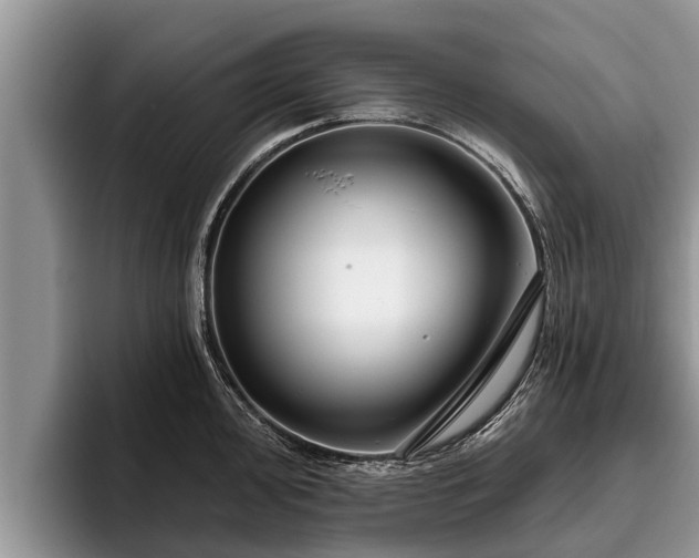 X0000095881000200801181201