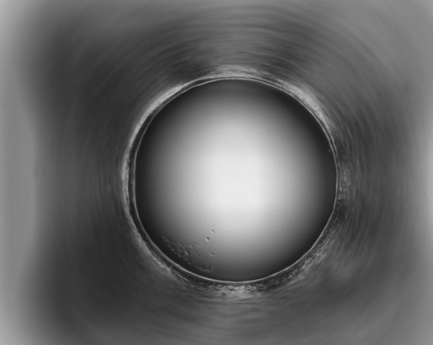 X0000095881003200801181201