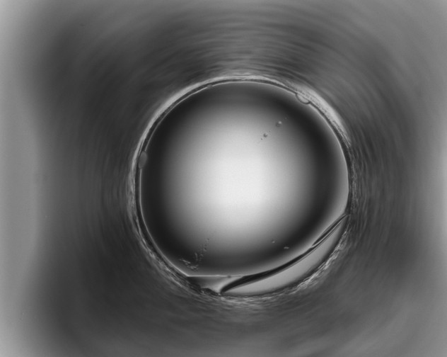 X0000095881004200801181201