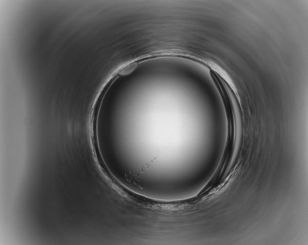 X0000095881005200801181201