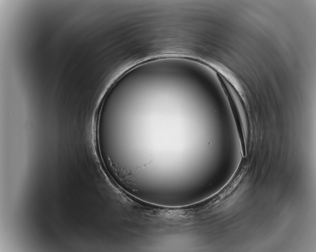 X0000095881006200801181201