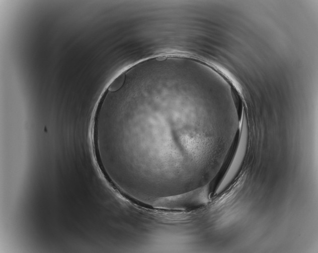 X0000095881007200801181201