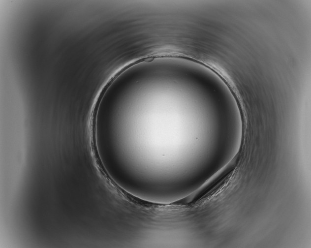X0000095881008200801181201