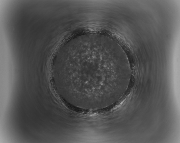 X0000095881009200801181201